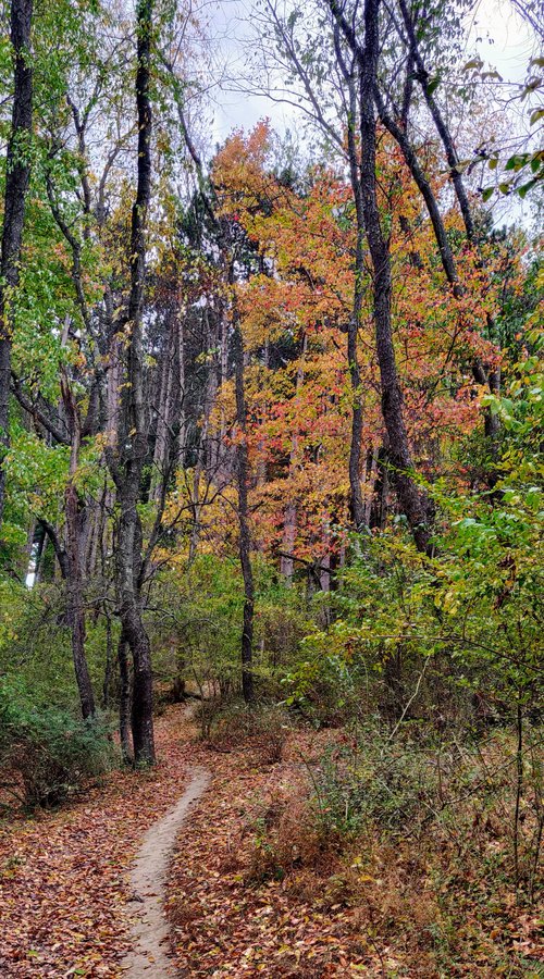 Pennsylvania review images