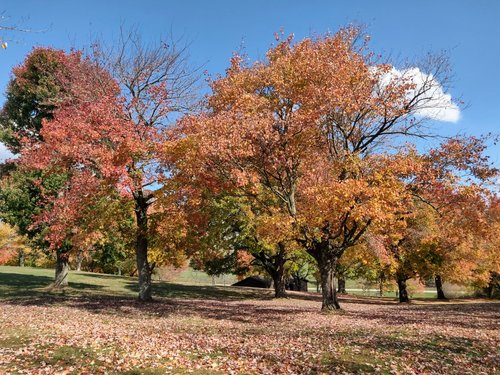 Pennsylvania review images