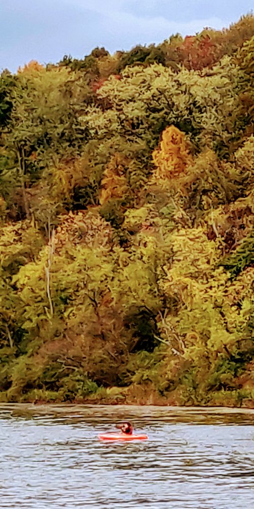 Pennsylvania review images