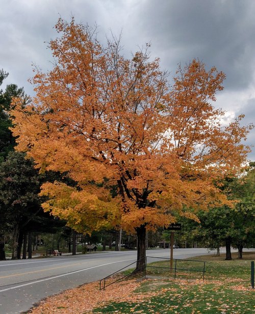 Pennsylvania review images