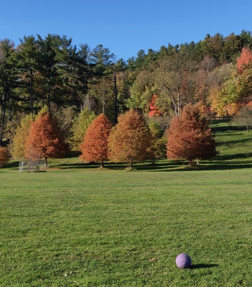 Pennsylvania review images