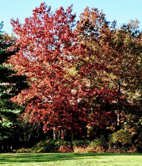 Pennsylvania review images