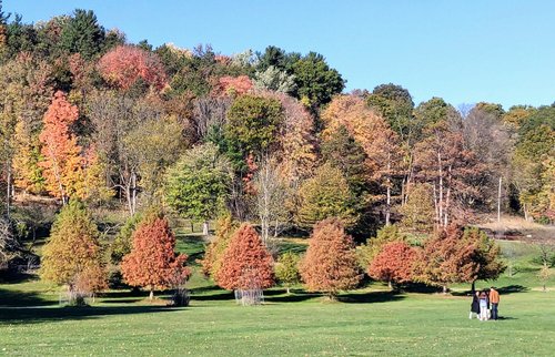 Pennsylvania review images