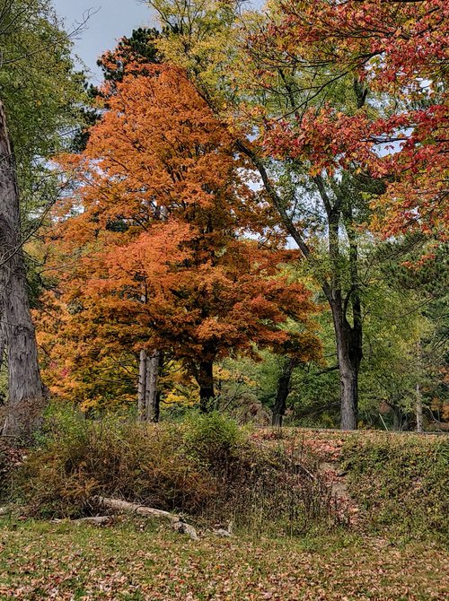 Pennsylvania review images