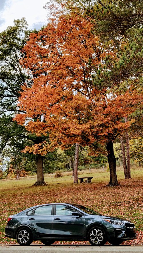 Pennsylvania review images
