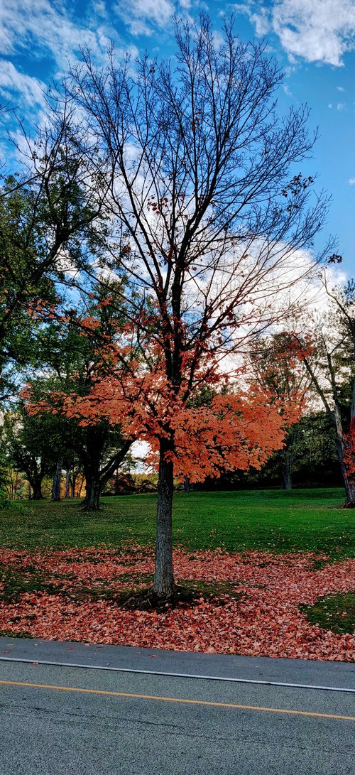 Pennsylvania review images
