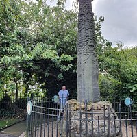 Wroxeter Roman Column Monument