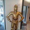 Siverfoxtravelexpert