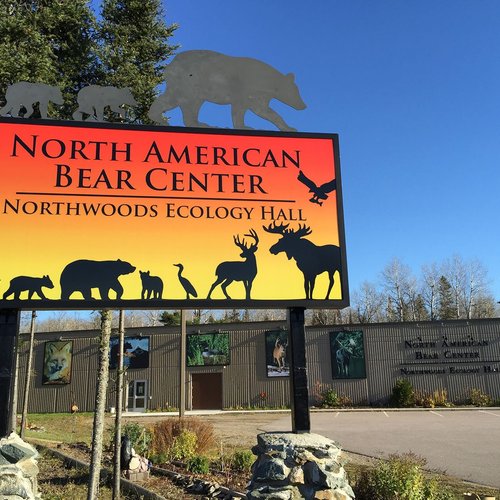 NORTH AMERICAN BEAR CENTER: All You Need to Know BEFORE You Go