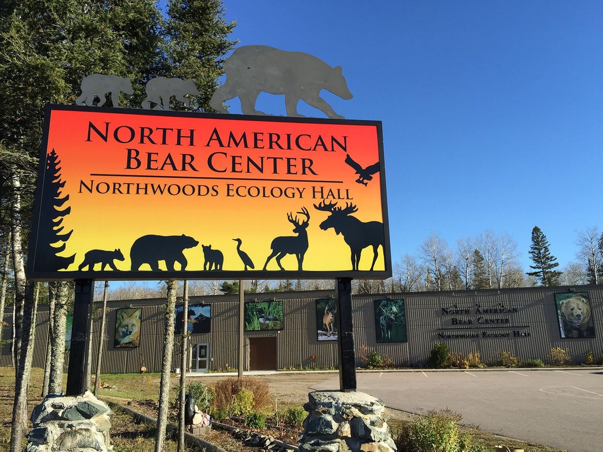 North American Bear Center (Ely) All You Need to Know BEFORE You Go