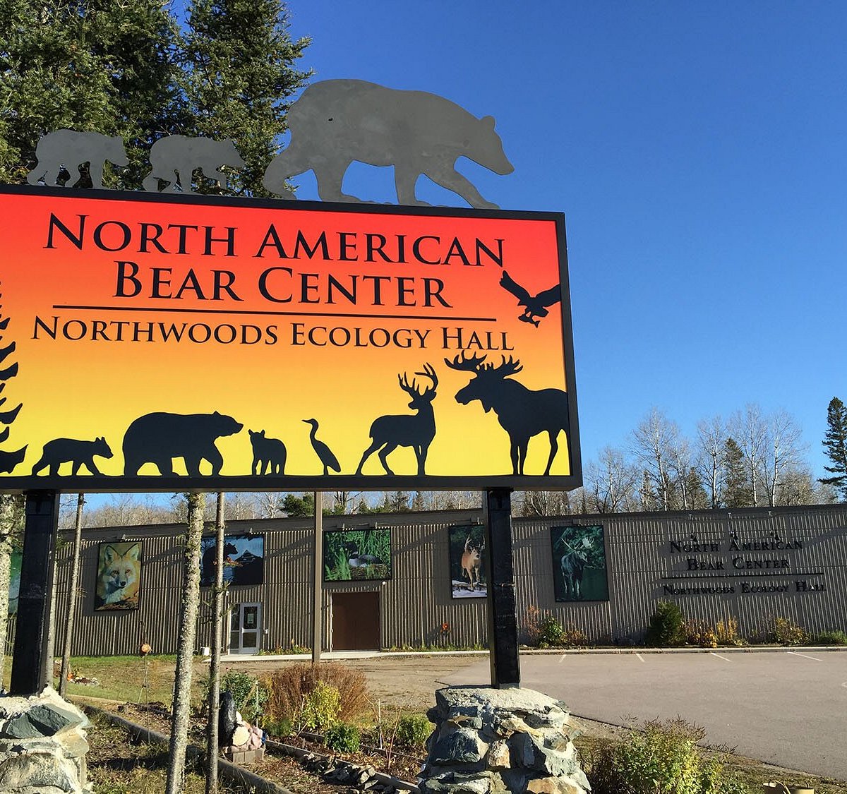 Bear center