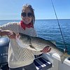 Things To Do in Fishing Charters & Tours, Restaurants in Fishing Charters & Tours