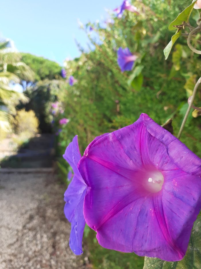 Imagen 7 de Cortijo el Caserio