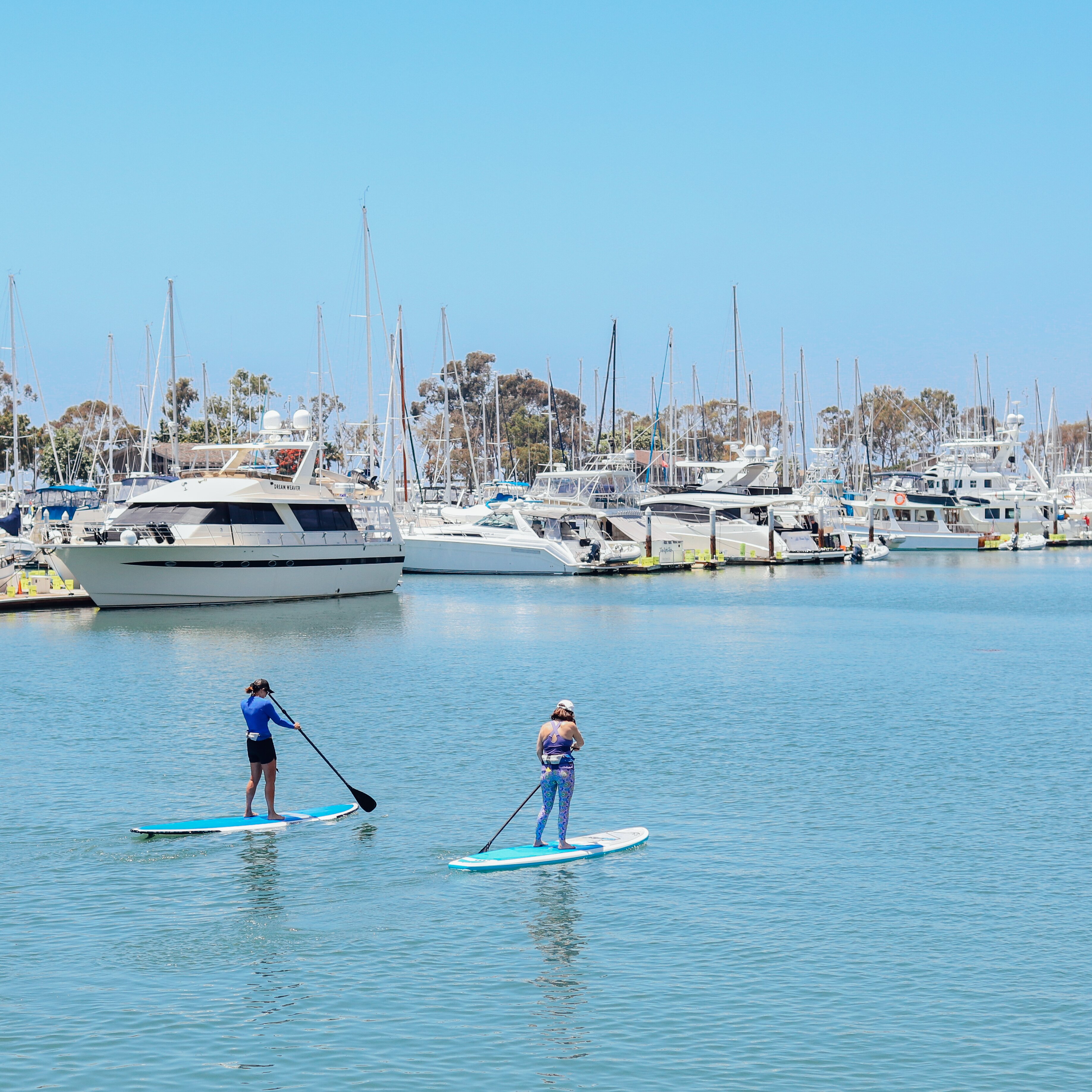 DANA POINT HARBOR 2022 Qu Saber Antes De Ir Lo M S Comentado Por   A Waterman S Paradise 