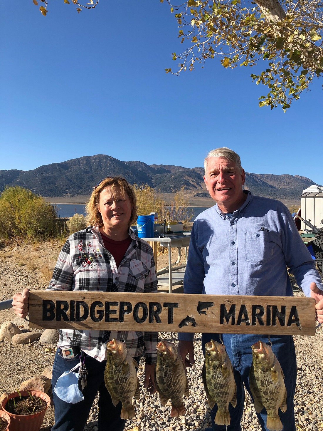 Rental Fleet — Bridgeport Reservoir Marina & Campground