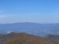 se permiten perros en brasstown bald mountain