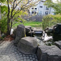 ポッポも飲みに来ますよ