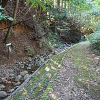 サワガニの沢