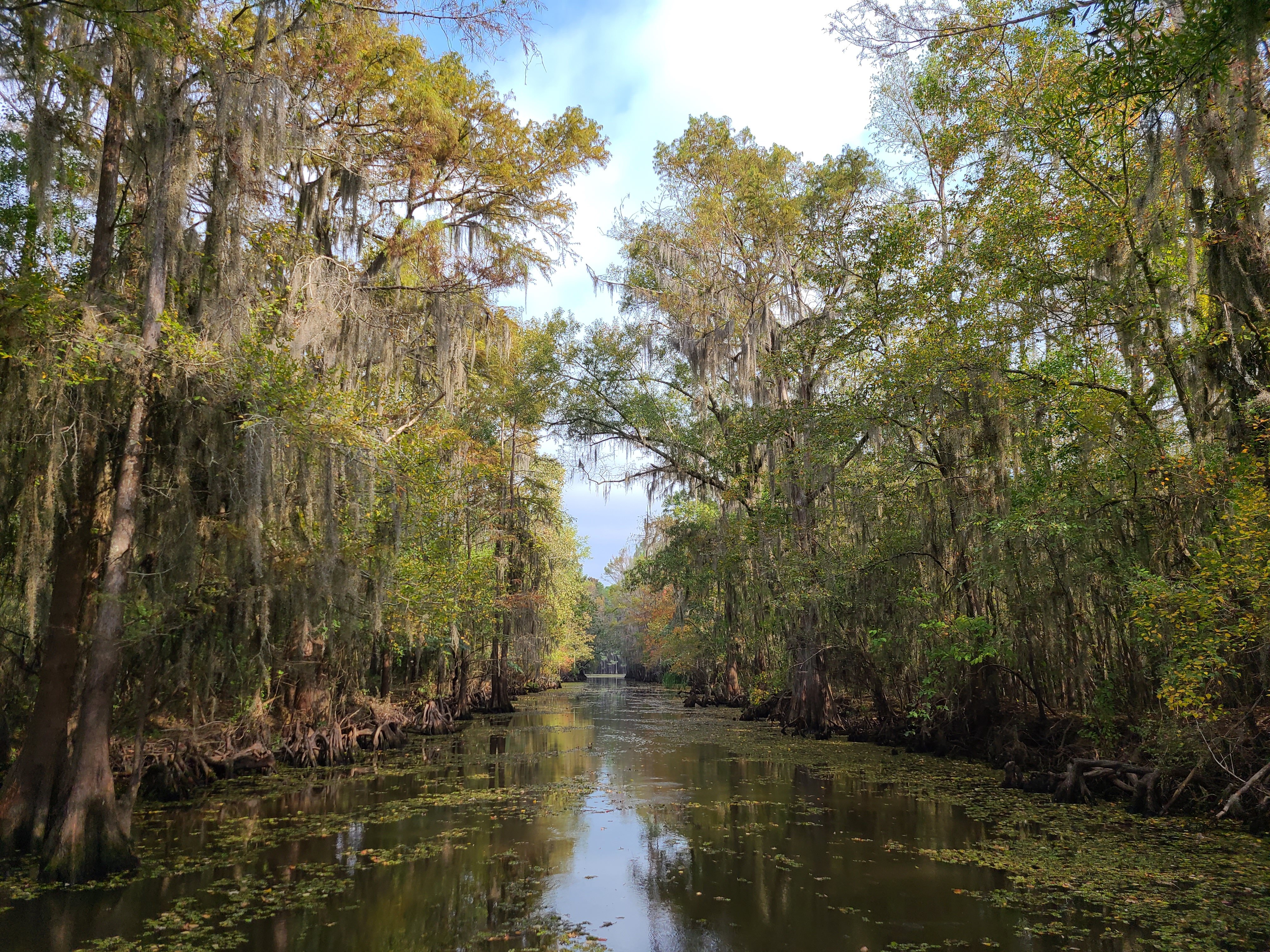 Caddo Lake Bayou Tours (Uncertain) - All You Need To Know BEFORE You Go