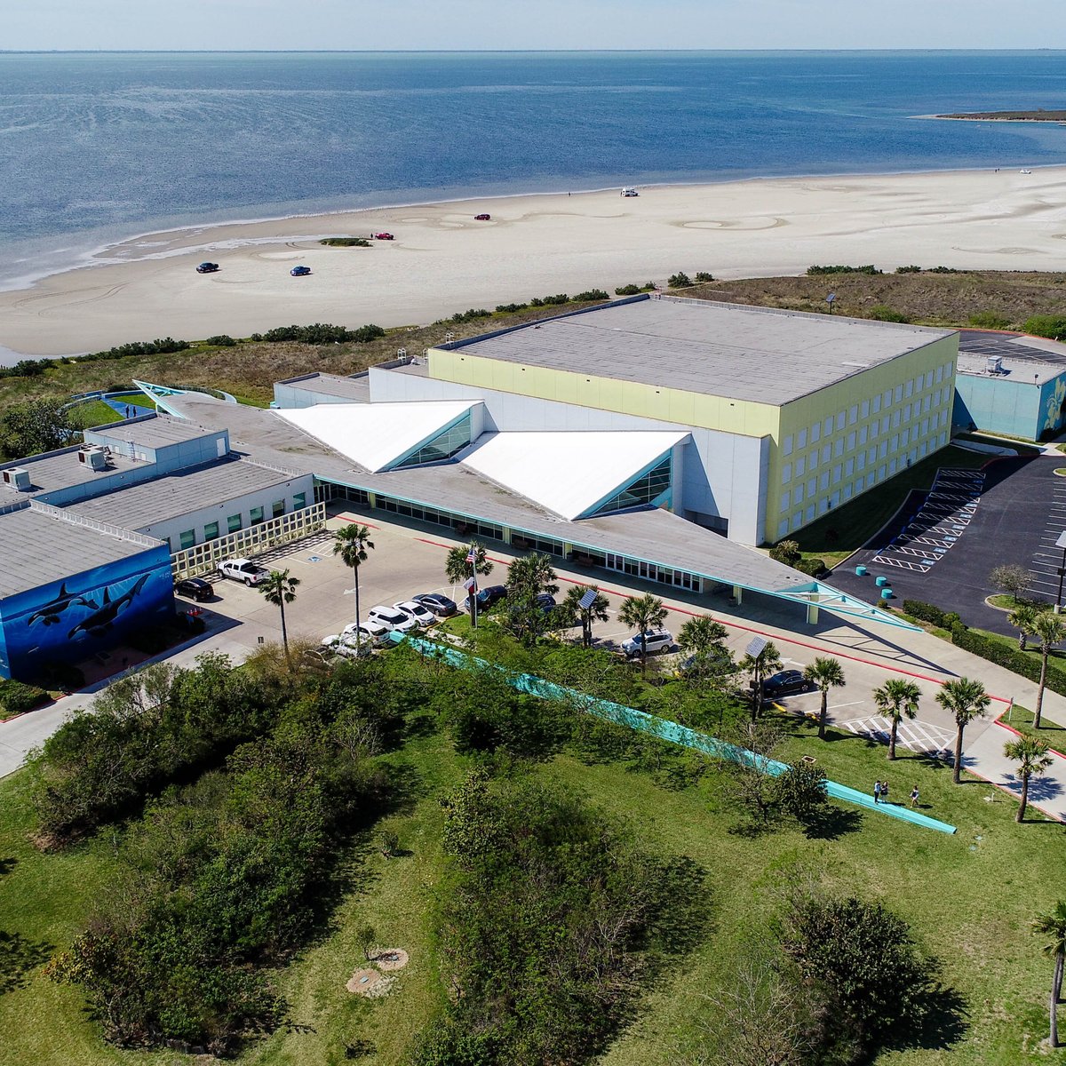 South Padre Island Convention Centre - All You Need to Know BEFORE You Go