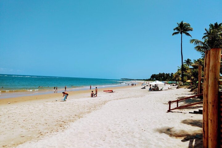 2024 Praia do Forte & Guarajuba