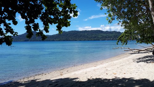 Ambon simply-peregrinating review images