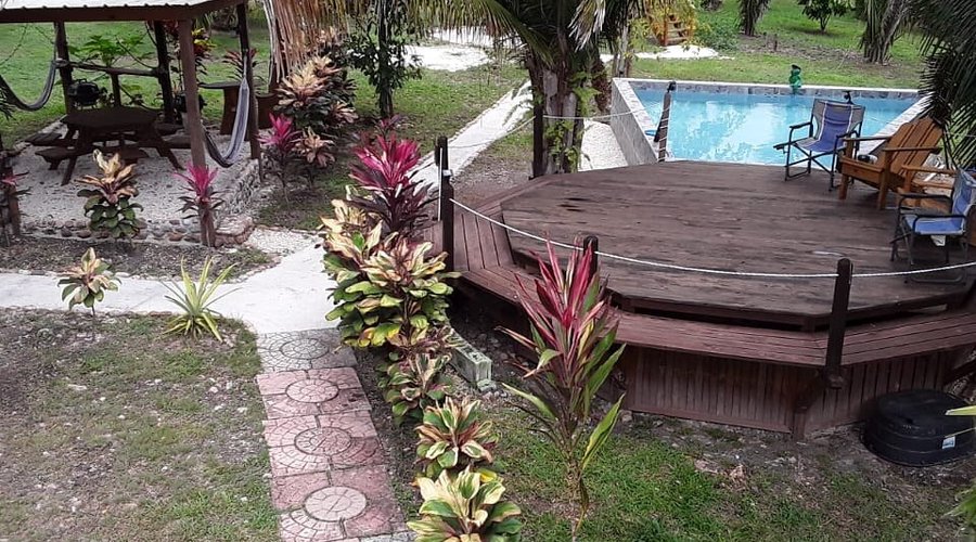 View of our pool and bbq area