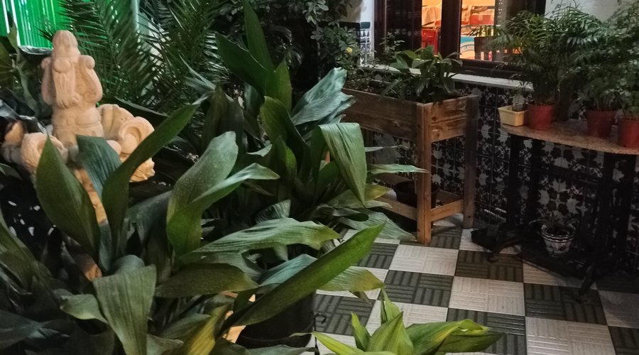 patio andaluz
