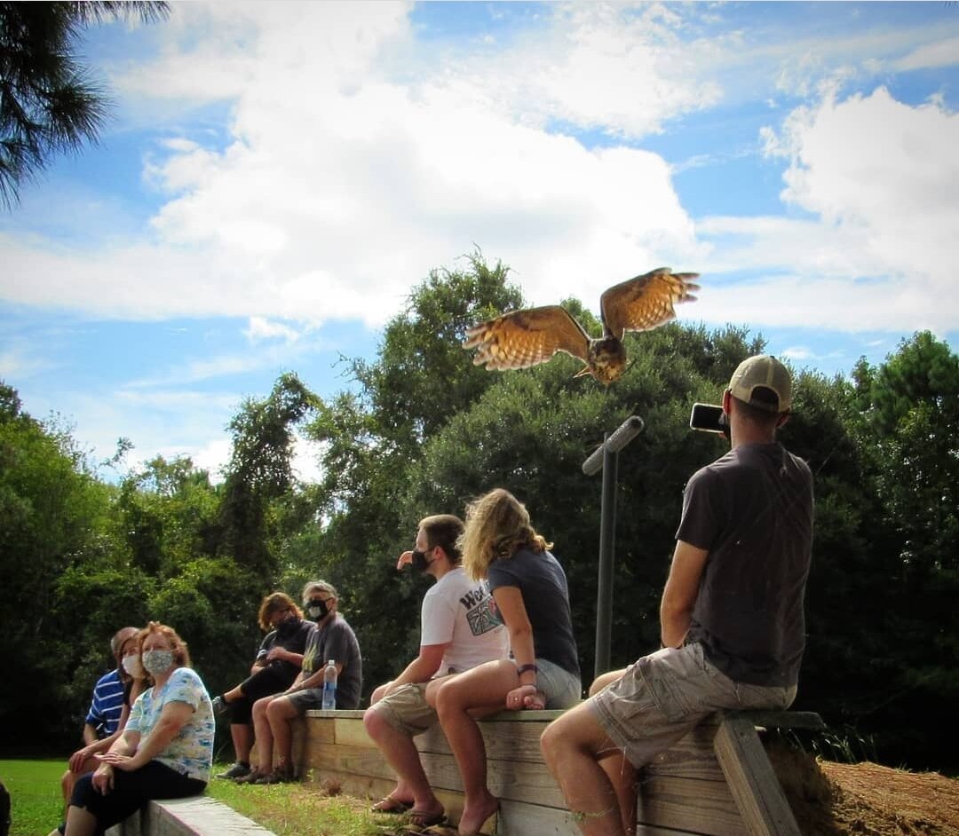 Center for Birds of Prey - Avian Conservation Center