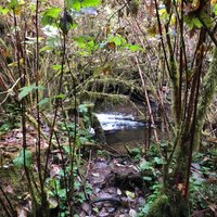 Munson Creek Falls (Tillamook) - All You Need to Know BEFORE You Go