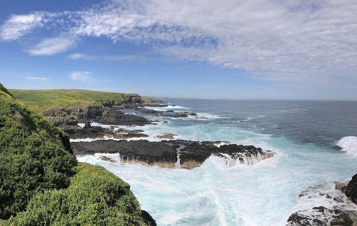 Xxx Benagil Com - Dianne's Venture Tours (Phillip Island) - All You Need to Know BEFORE You Go