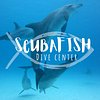 Scubafish Dive Center