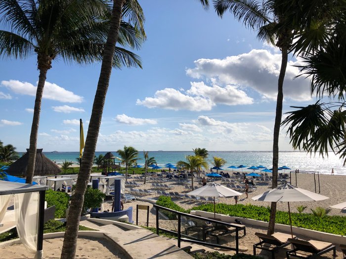 playa del carmen reef playacar