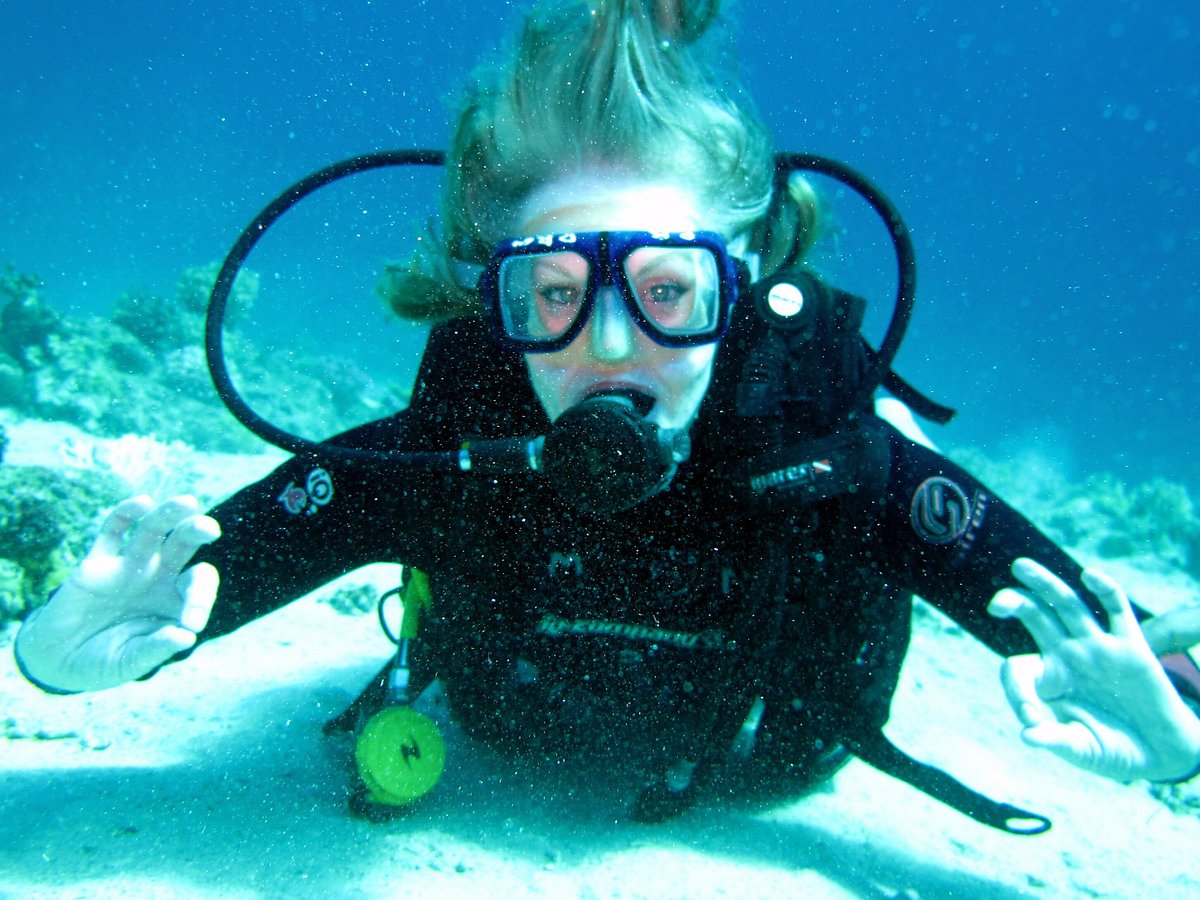 Red Sea Divers Club, Шарм-эль-Шейх: лучшие советы перед посещением -  Tripadvisor