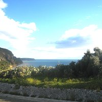 Panoramic