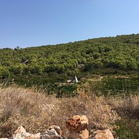 Island of Vis