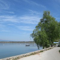 along the lake