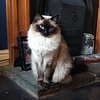 misspeachykeenjellybean