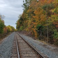 Devil's Punchbowl Conservation Area (Stoney Creek) - All You Need to ...