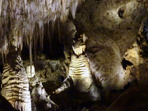 Carlsbad Caverns National Park review images
