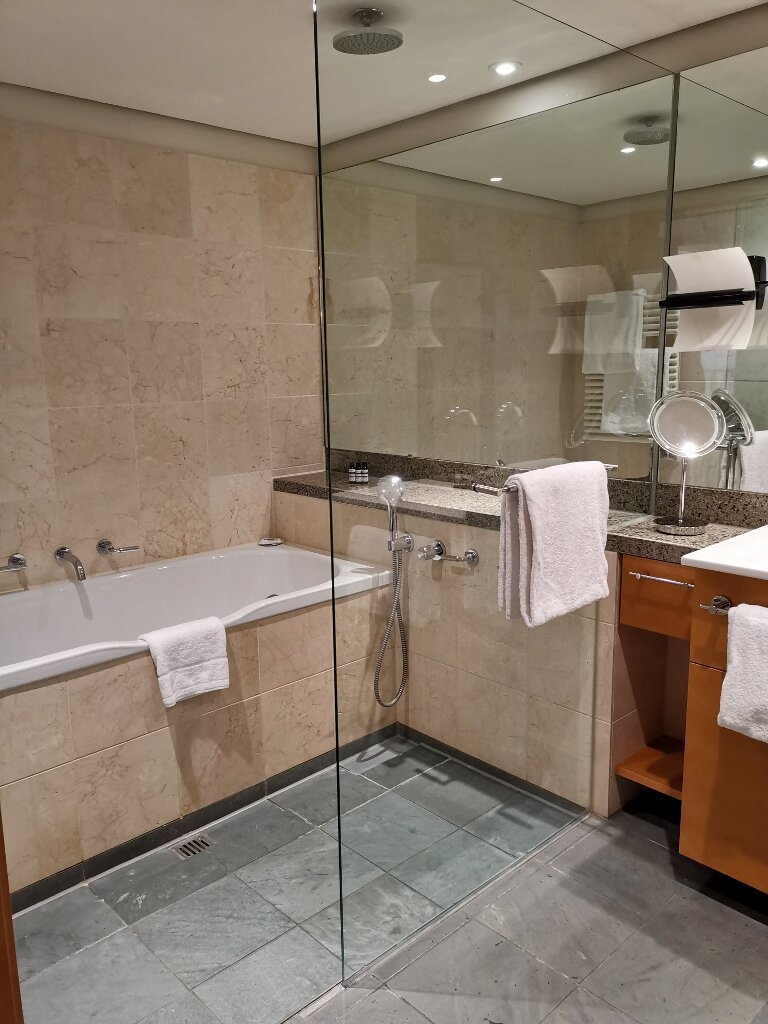 Hotel photo 16 of Hyatt Regency Mainz.