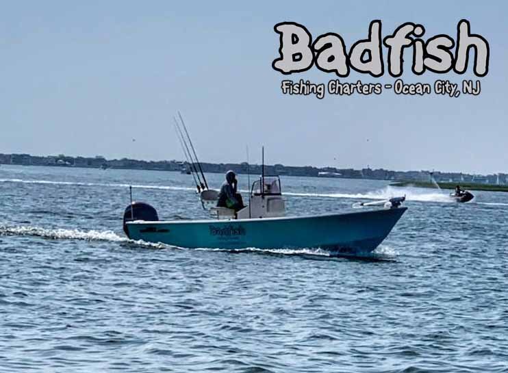 Badfish Fishing Charters (Somers Point) All You Need to Know BEFORE