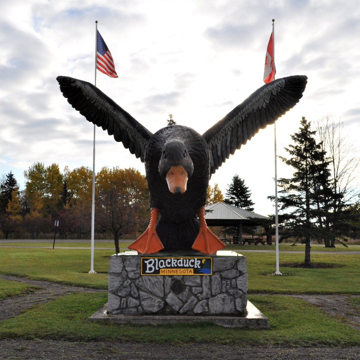 World's Largest Black Duck Statue (Blackduck) - 2022 What to Know ...