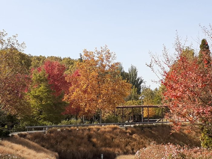 Imagen 10 de Parque de Los Campos Elíseos de Lérida