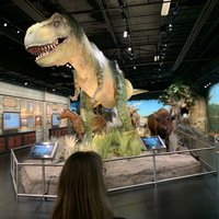 ICR Discovery Center (Dallas) - All You Need to Know BEFORE You Go