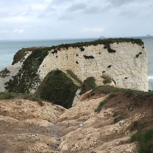 Old Harry Rocks - All You Need to Know BEFORE You Go (2024)