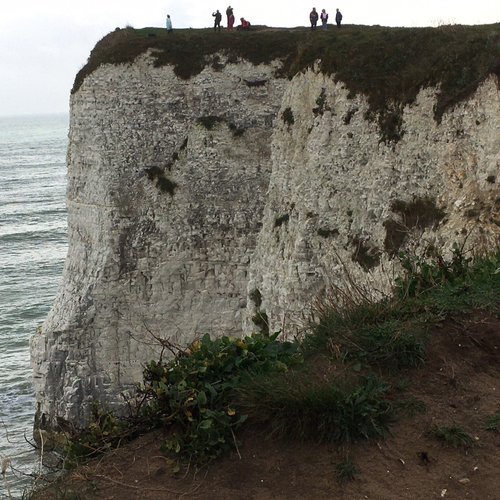 Old Harry Rocks - All You Need to Know BEFORE You Go (2024)