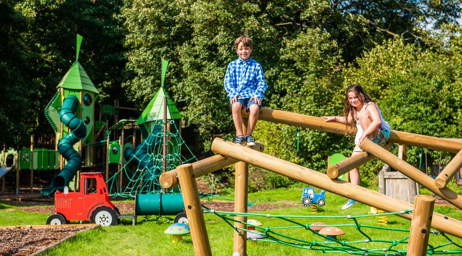 Run wild on our adventure playground 