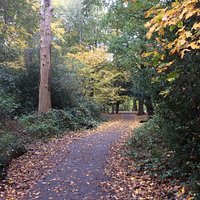 Autumn colours