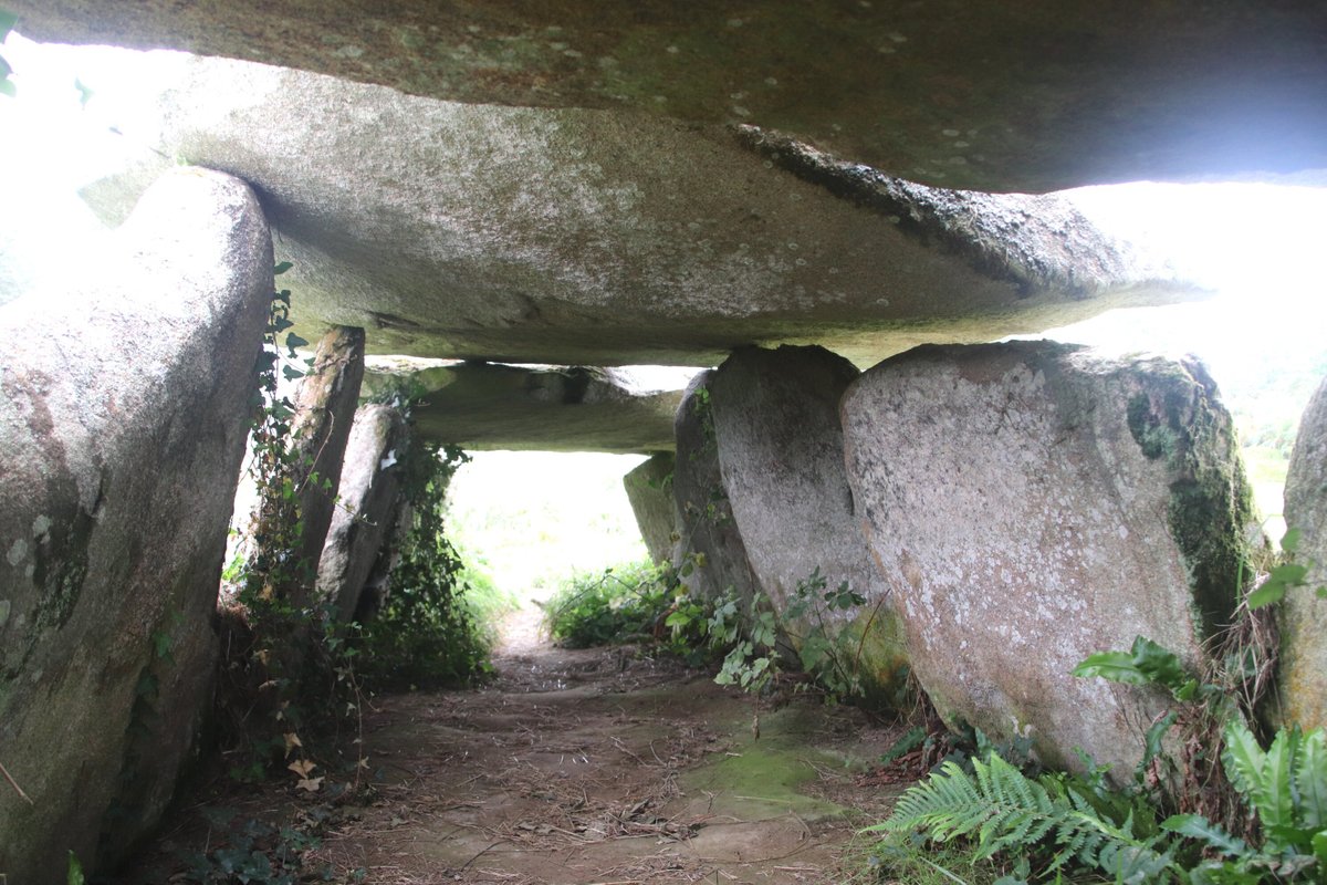 Allée Couverte Et Menhir De Prajou-menhir - All You Need to Know BEFORE ...